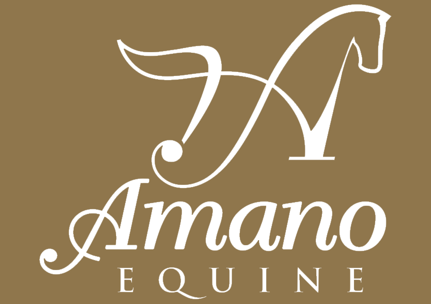 amano equine solid